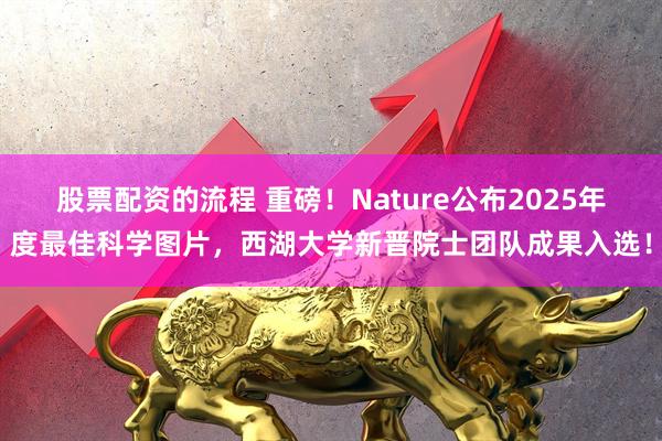 股票配资的流程 重磅！Nature公布2025年度最佳科学图片，西湖大学新晋院士团队成果入选！
