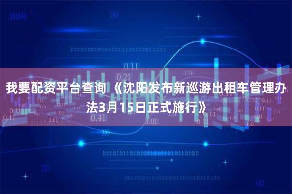 我要配资平台查询 《沈阳发布新巡游出租车管理办法3月15日正式施行》